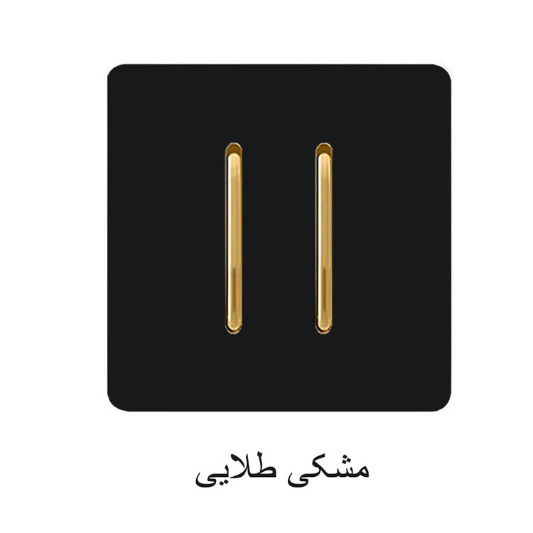 کلید دو پل صنایع آسیا الکتریک مدل Black-GD